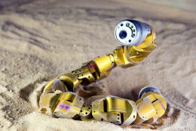 Bio-inspired snake robots