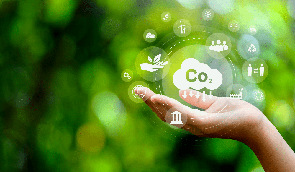 Carbon Footprint in the Digital Age and The Environmental Impact of the Internet